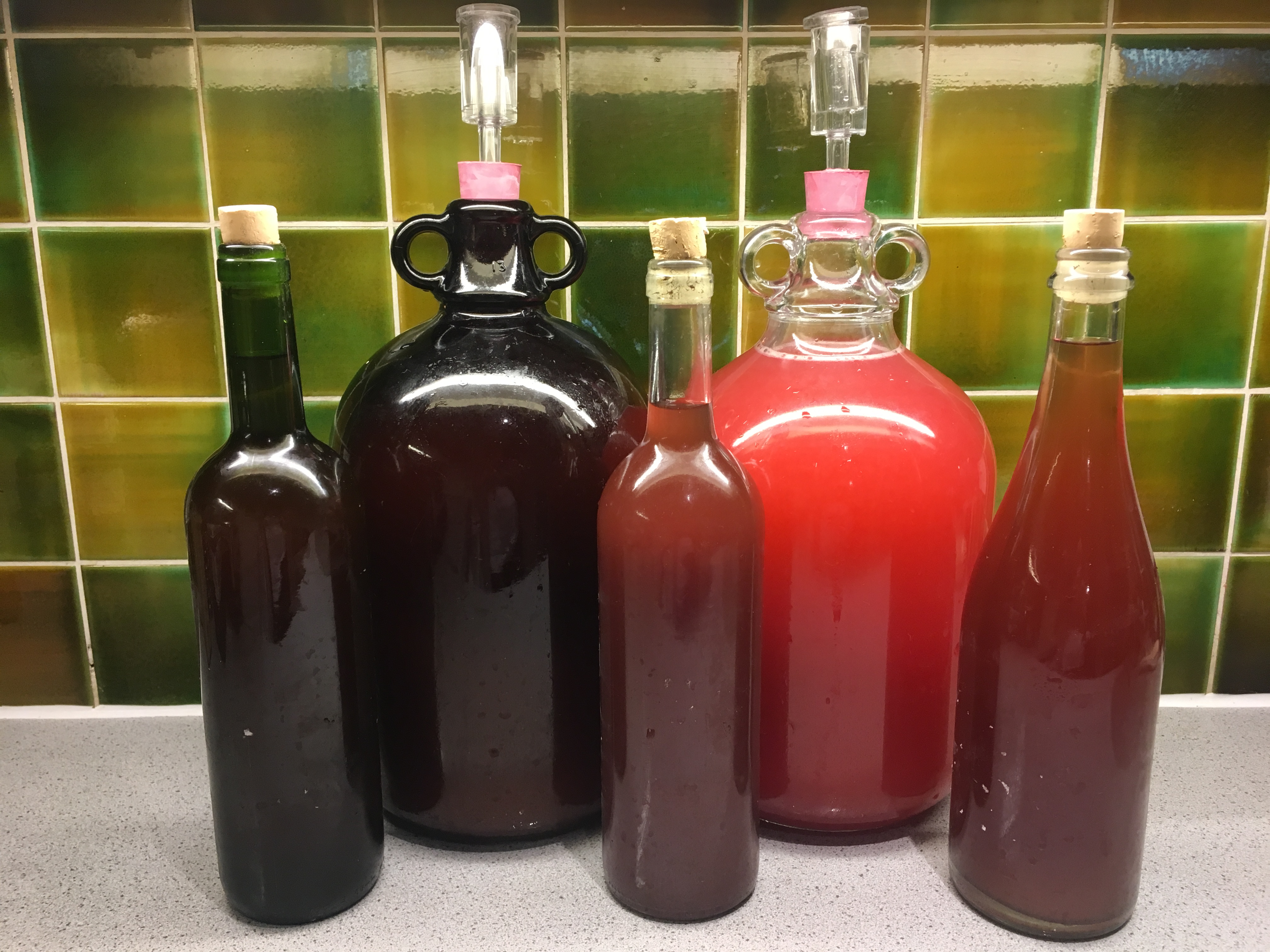 A display of the wine we made in 2018. Wine making in Putney